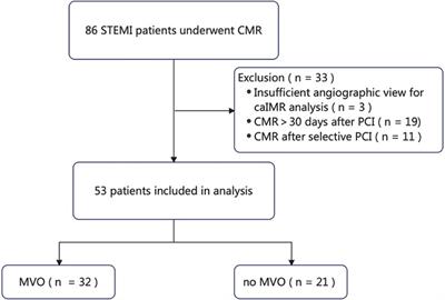 Ability of the coronary angiography-derived index of microcirculatory resistance to predict microvascular obstruction in patients with ST-segment elevation